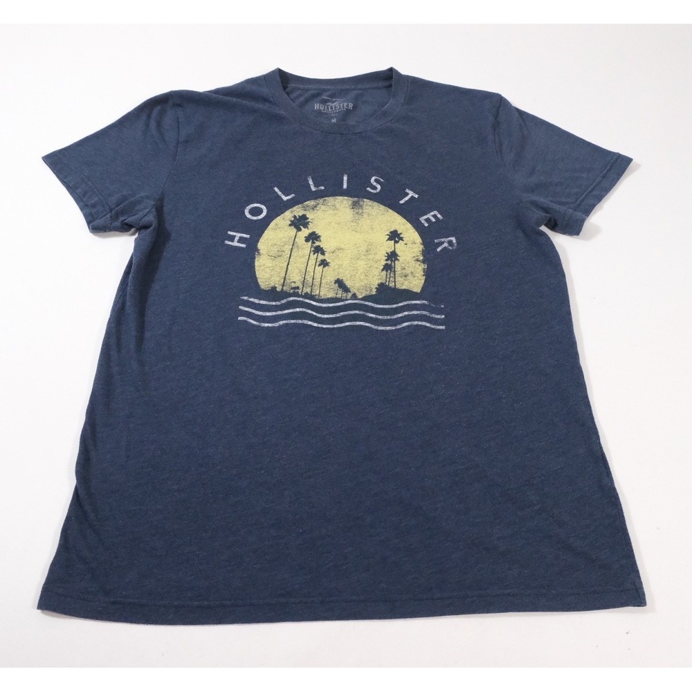Hollister T-Shirt Mens M Blue Graphic Palm Tree Sunset Short Sleeve Crew Neck